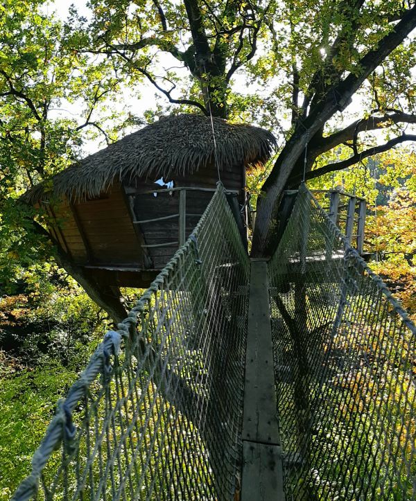 L'aventure dans une cabane dans les arbres en Mayenne !
