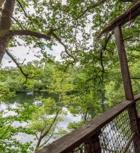 Le Domaine des Vaulx