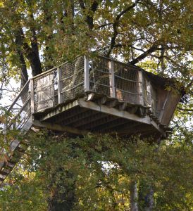 Nos cabanes dans les arbres