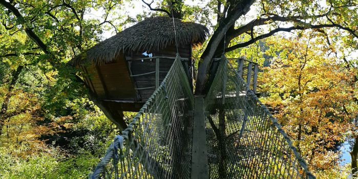 Cabane dans les arbres Guadeloupe