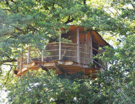 Cabane Girsberg dans les arbres