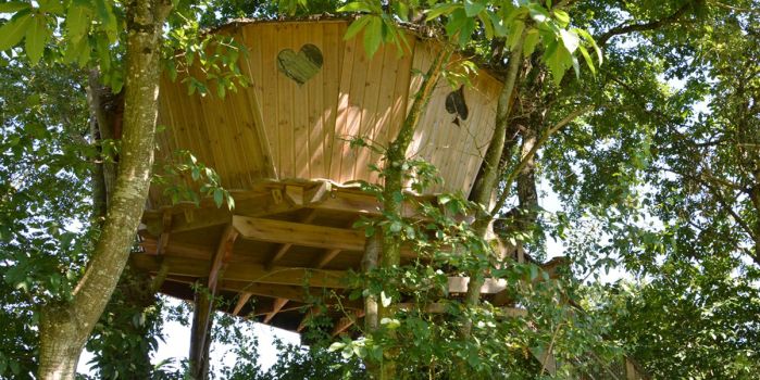 Cabane des Cartes dans les arbres