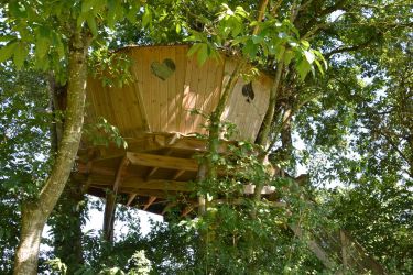 Cabane des Cartes dans les arbres
