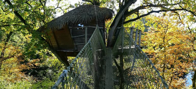 Cabane dans les arbres Guadeloupe