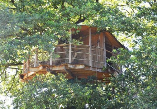 Cabane Girsberg dans les arbres