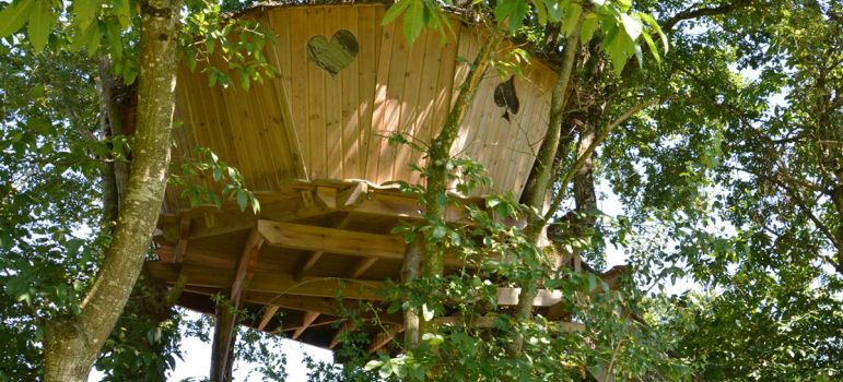 Cabane des Cartes dans les arbres