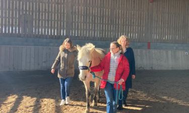 Equicoaching