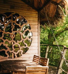 Nos cabanes dans les arbres